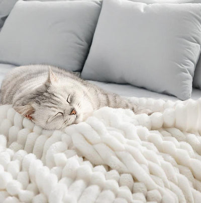 SweetNap – Pledd